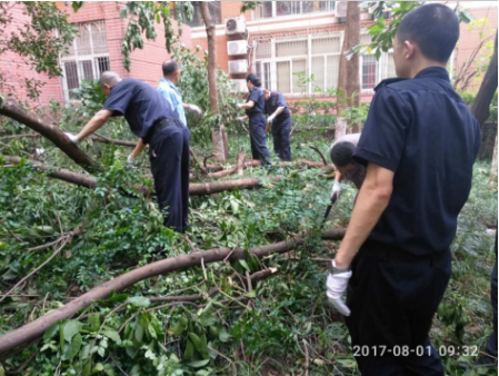 QQ截圖20170814095059.png70.png